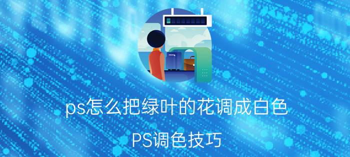 ps怎么把绿叶的花调成白色 PS调色技巧